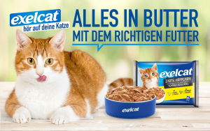 Eines der Layouts zur Katzenfuttermarke exelcat