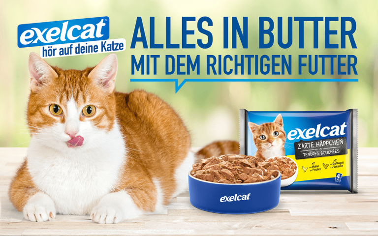 Eines der Layouts zur Katzenfuttermarke exelcat