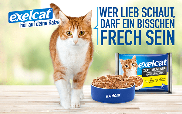 Eines der Layouts zur Katzenfuttermarke exelcat