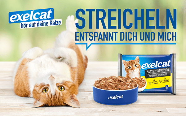 Eines der Layouts zur Katzenfuttermarke exelcat
