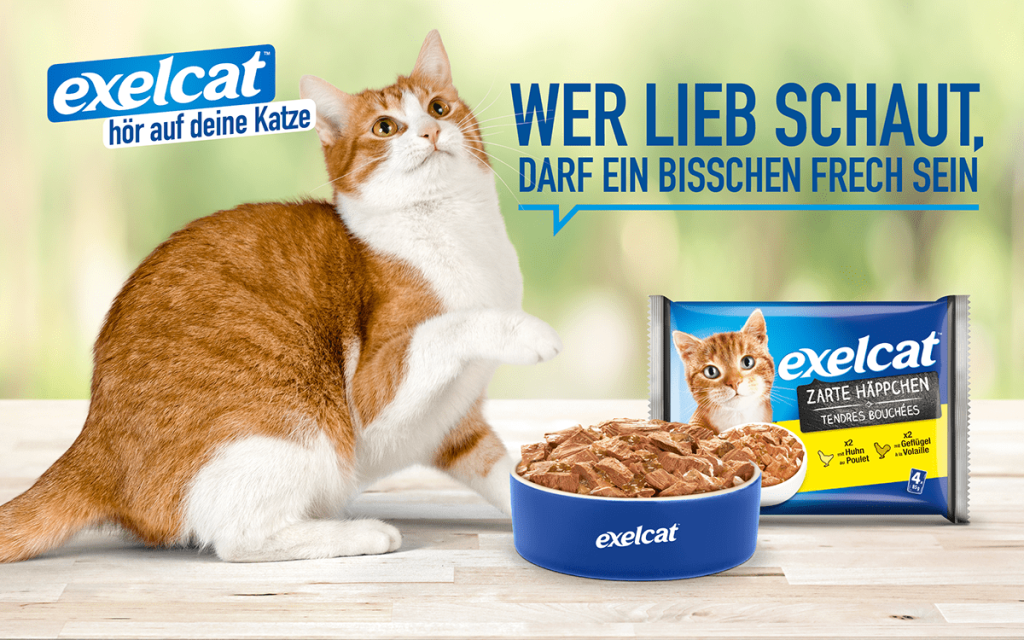 Eines der Layouts zur Katzenfuttermarke exelcat