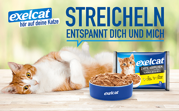 Eines der Layouts zur Katzenfuttermarke exelcat